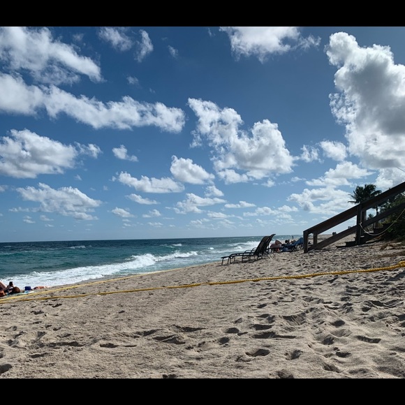 Meet your Posher, Jasmine - Picture 2 of 2